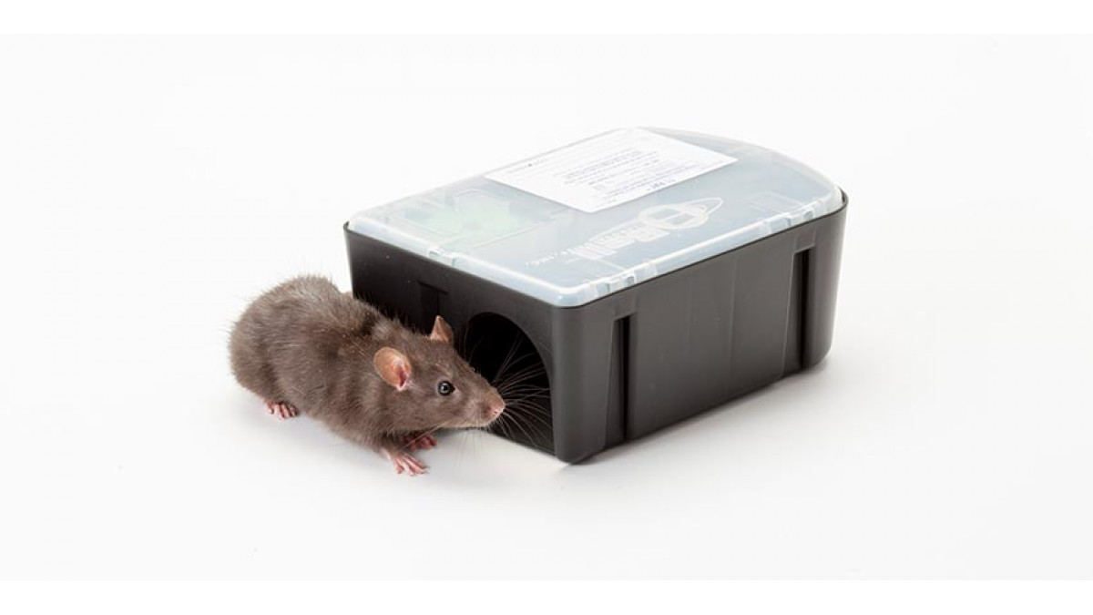 T1 Rat Bait Stations